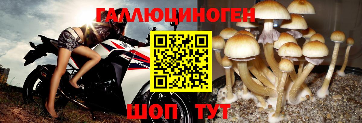 Назрань  Галлюциногенные грибы Magic Shrooms  Псилоцибиновые грибы мухоморы  Вход с VPN 